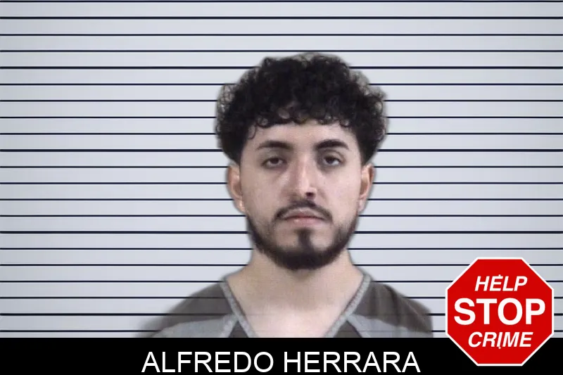 Alfredo Herrara Mugshots