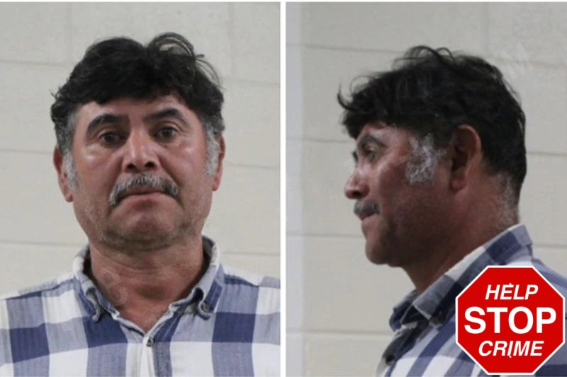 Ali Canales-Fernandez mugshot