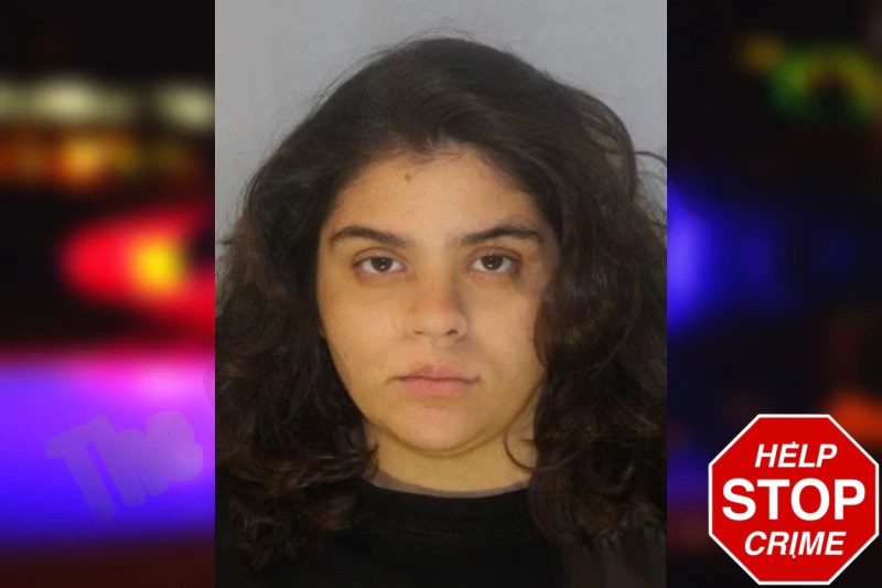 Alicia Mendoza mugshot