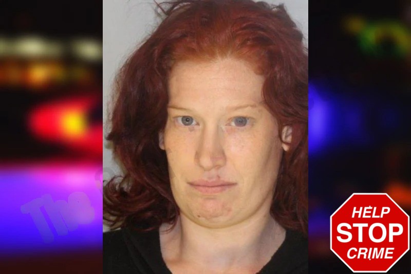 Alisa Fauble Mugshots