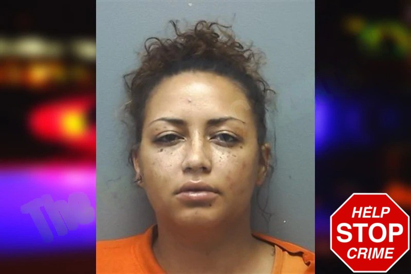 Alisha Tinsley mugshot – Cherokee County , Georgia Alisha Tinsley mugshot