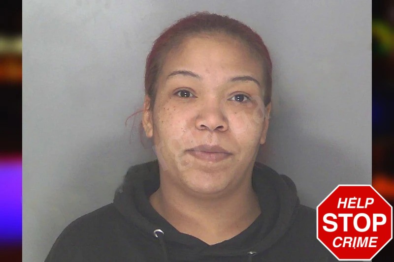 Alisha Weldon Mugshots