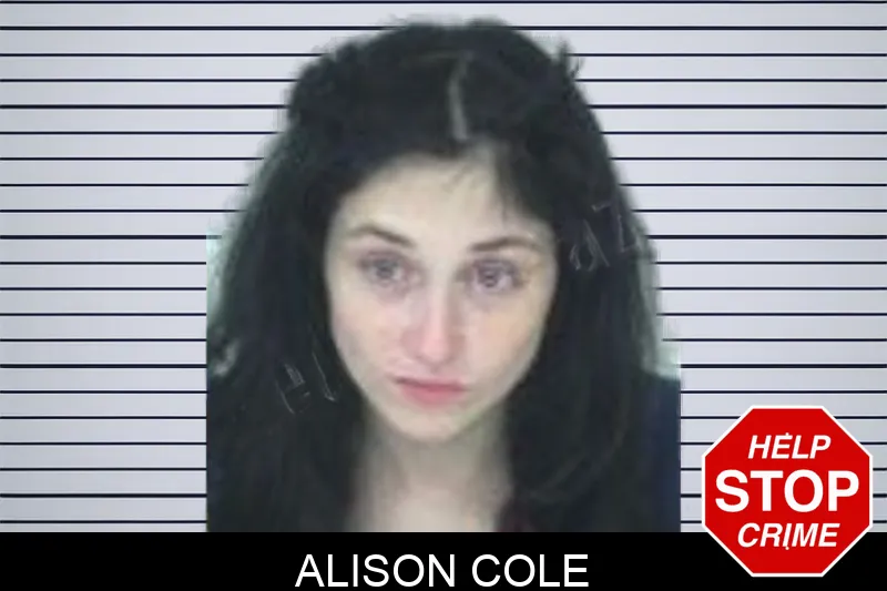 Alison Cole Mugshots