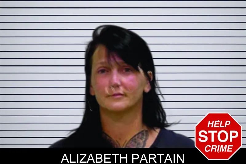 Alizabeth Partain mugshot – Bartow County , Georgia Alizabeth Partain mugshot