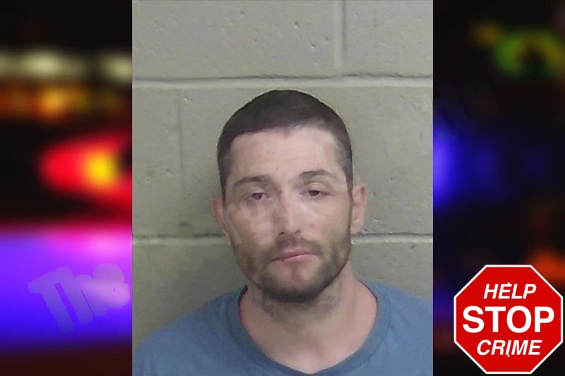 Allen Elmore mugshot – Wayne County , Georgia Allen Elmore mugshot