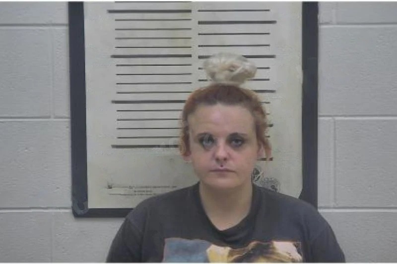 Allie Kirkland Mugshots