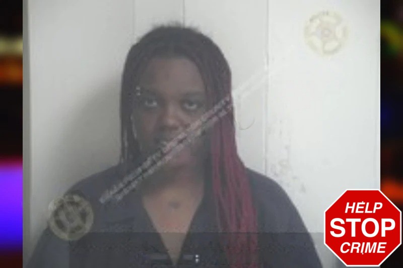 Allison Baughns Mugshots