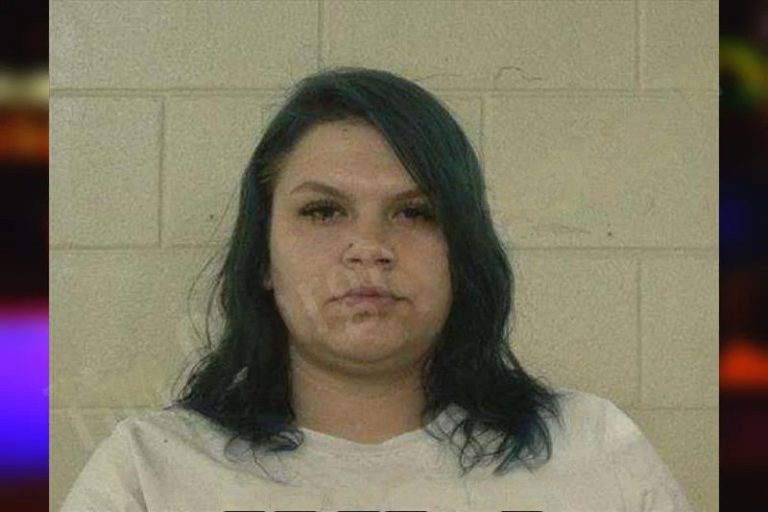Allison Casey mugshot – Liberty County , Georgia Allison Casey