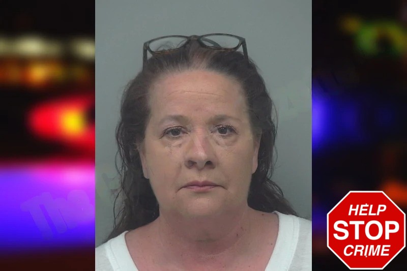 Allison Melancon mugshot – Gwinnett County , Georgia Allison Melancon mugshot