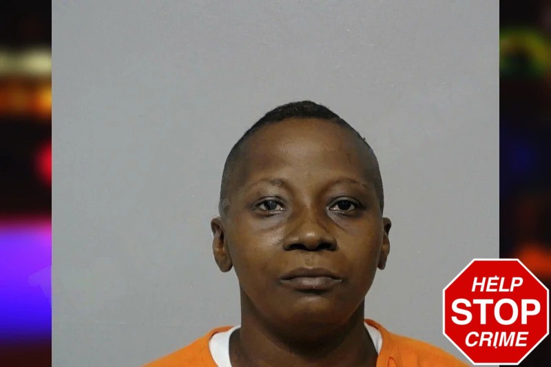 Allison Robinson Mugshots