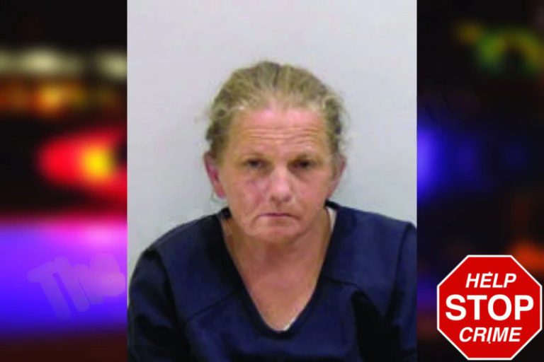 Allison West mugshot – Bartow County , Georgia Allison West