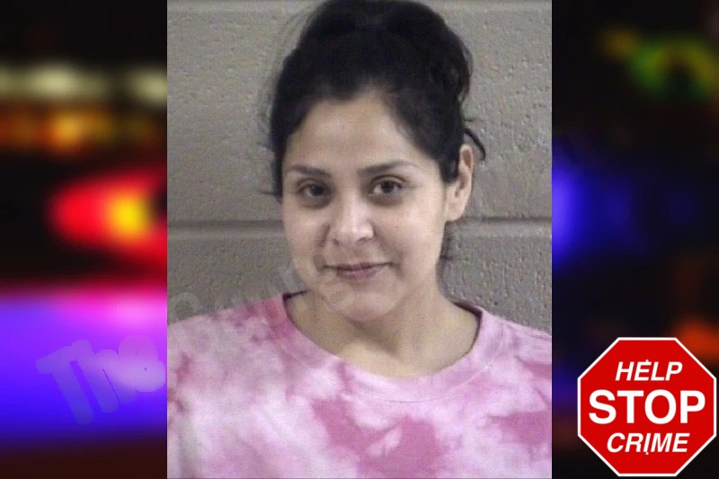 Alma Perez-Ojeda mugshot