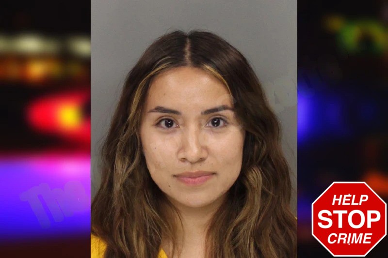 Alondra Dominguez Mugshots