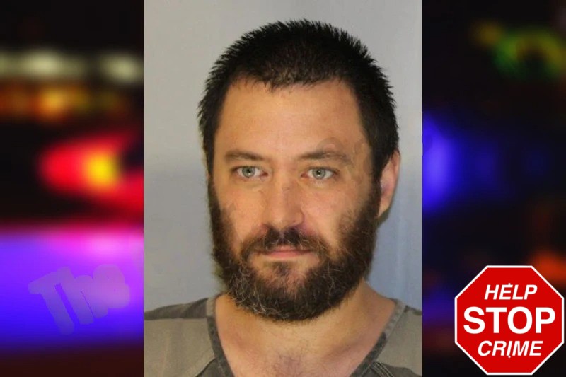 Alvee Norton Mugshots