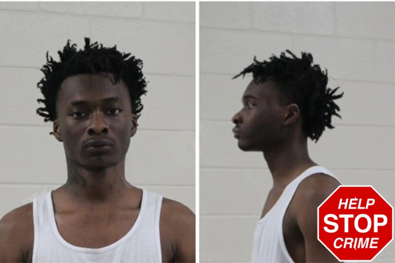 Alvin Gibson Mugshots