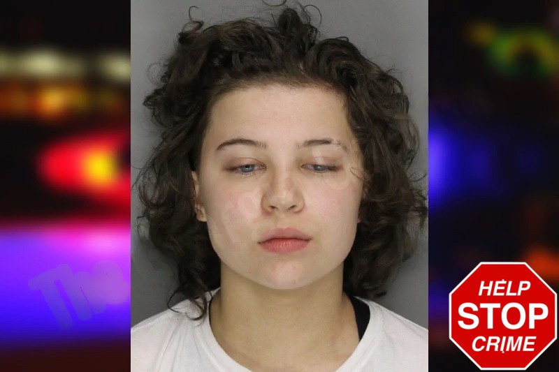 Alyssa Ahern mugshot – Cobb County , Georgia Alyssa Ahern mugshot