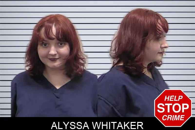 Alyssa Whitaker Mugshots