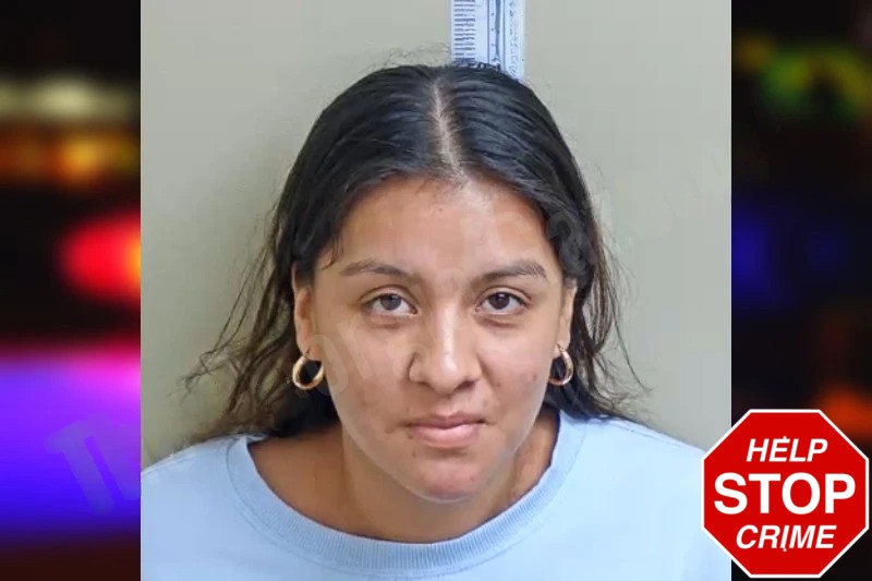 Amairani Pineda-Orozco Mugshots