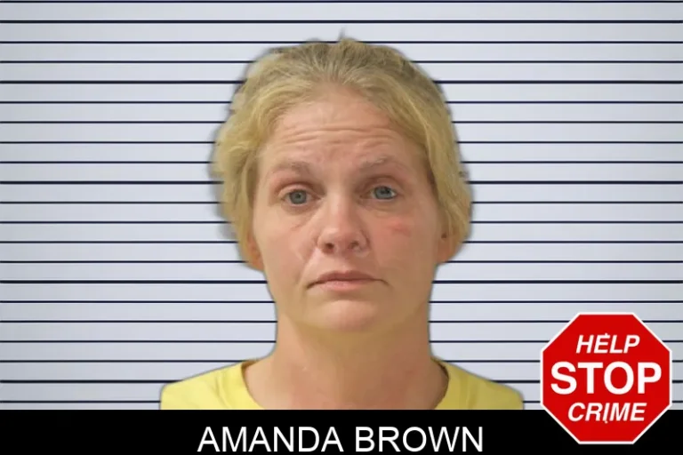 Amanda Brown mugshot – Toombs County , Georgia Amanda Brown