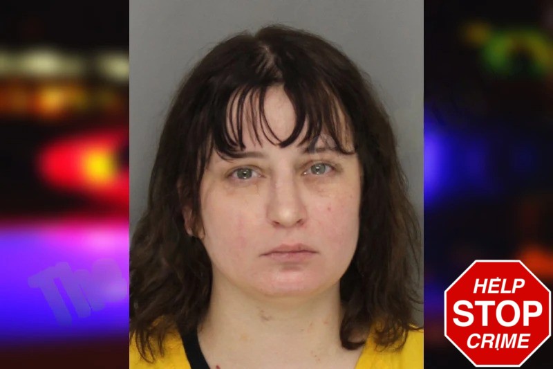 Amanda Darling Mugshots