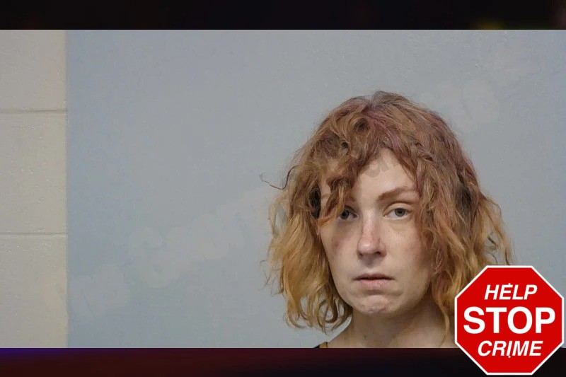 Amanda Drake Mugshots