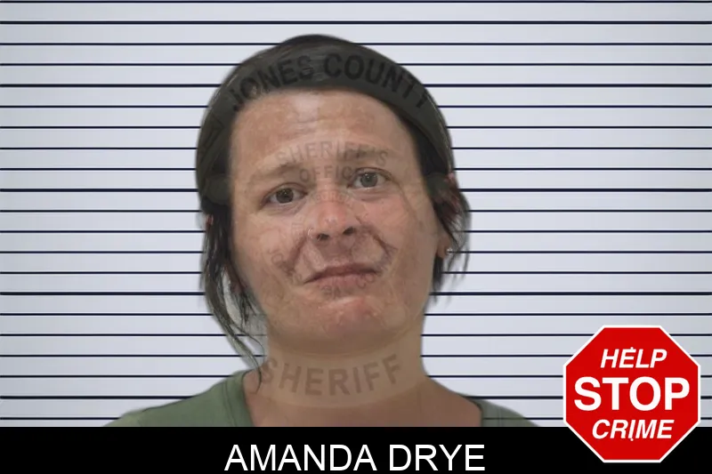 Amanda Drye Mugshots