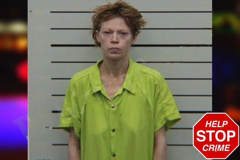 Amanda Fauche Mugshots