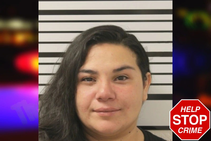 Amanda Florez Mugshots