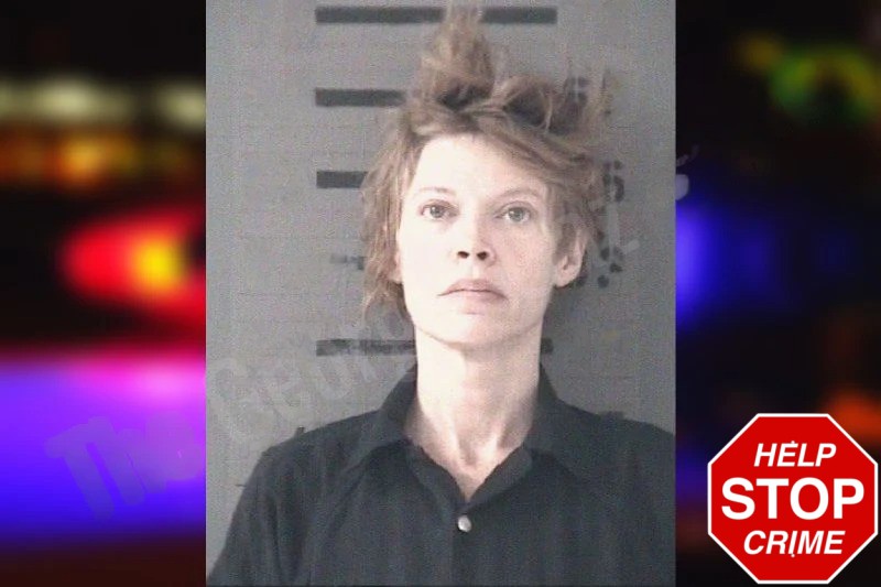 Amanda Fouche Mugshots