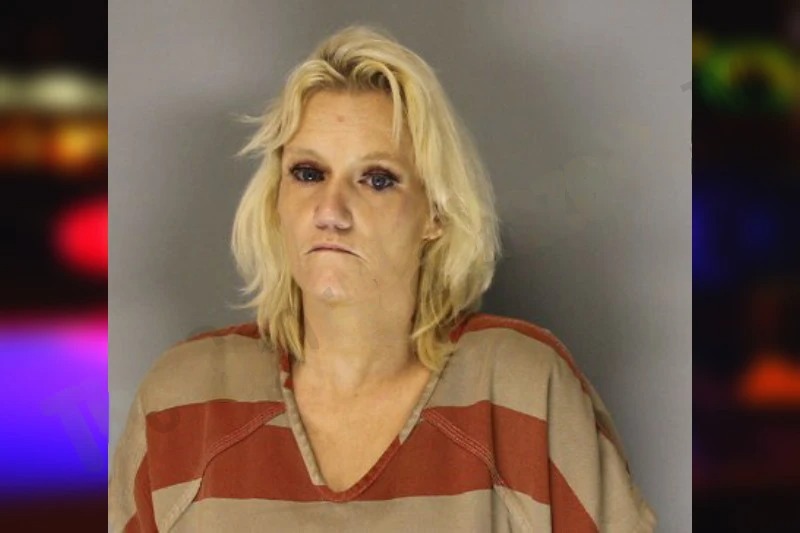 Amanda Gillespie Mugshots