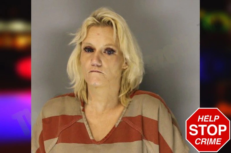 Amanda Gillespie Mugshots