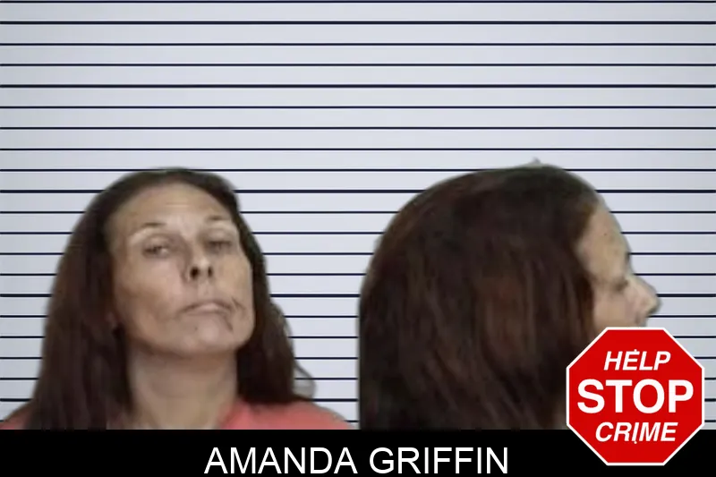 Amanda Griffin Mugshots