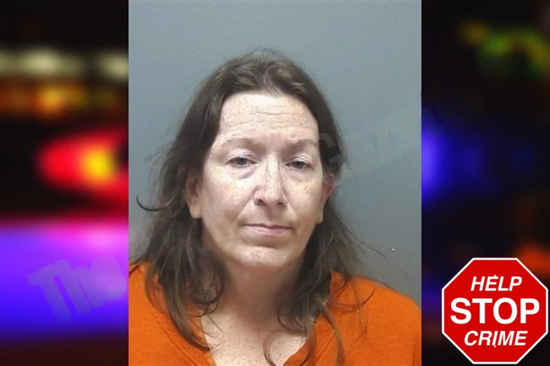 Amanda Hamby Mugshots