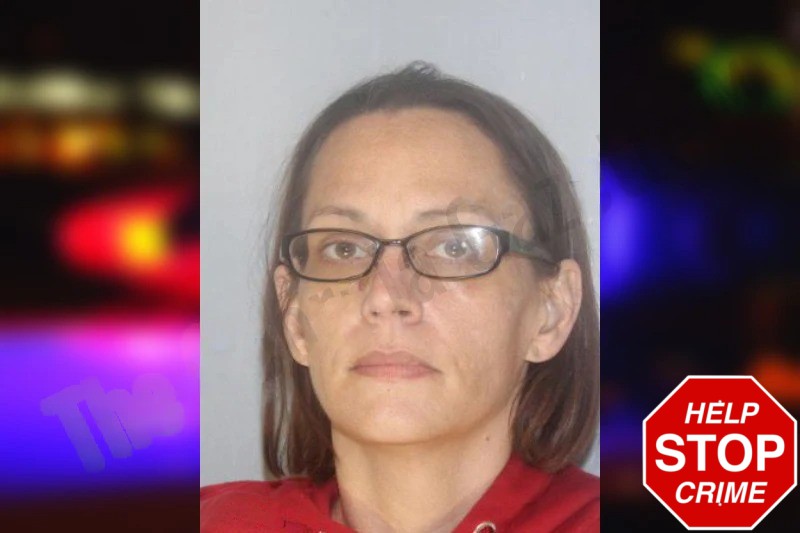 Amanda Hernandez Mugshots