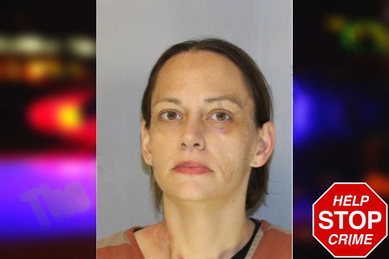 Amanda Hernandez Mugshots