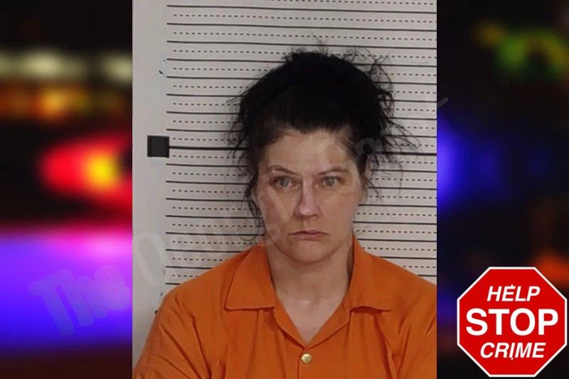 Amanda Hill Mugshots