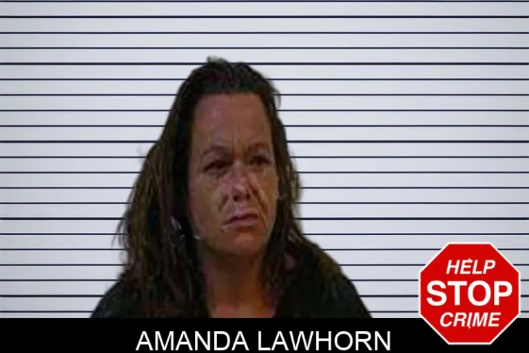 Amanda Lawhorn mugshot – Polk County , Georgia Amanda Lawhorn