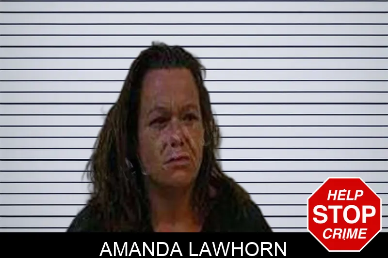 Amanda Lawhorn Mugshots
