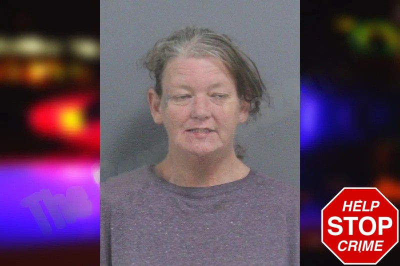 Amanda Locke Mugshots