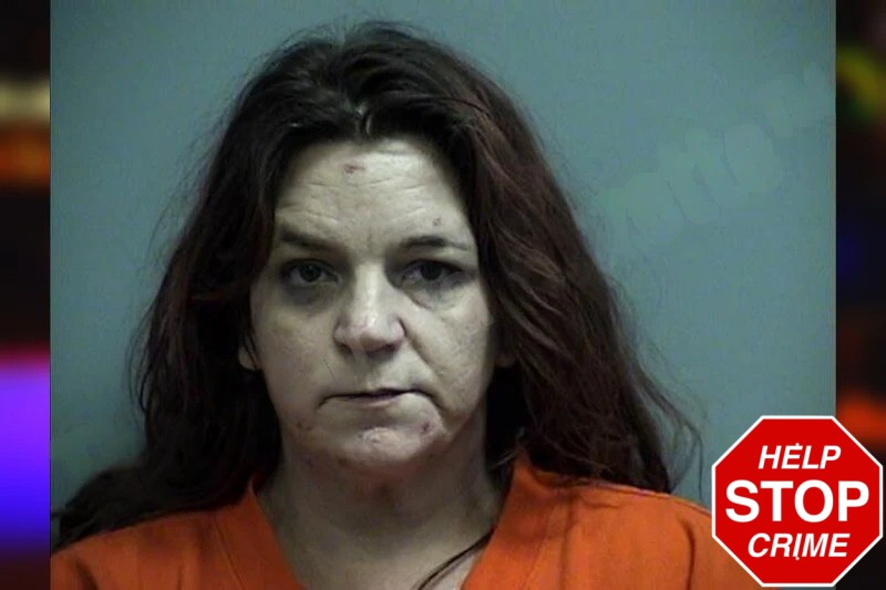 Amanda Maddox mugshot