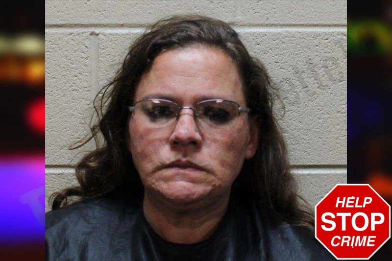 Amanda McElroy Mugshots