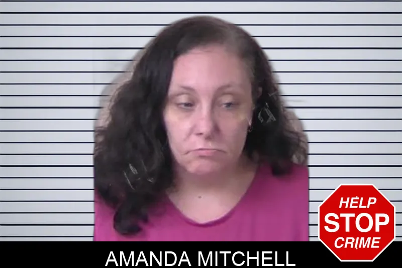 Amanda Mitchell Mugshots
