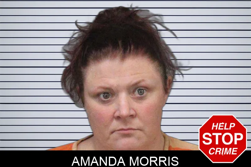 Amanda Morris Mugshots