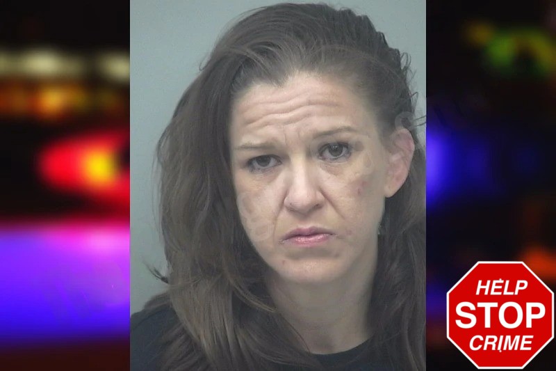 Amanda Pruitt Mugshots