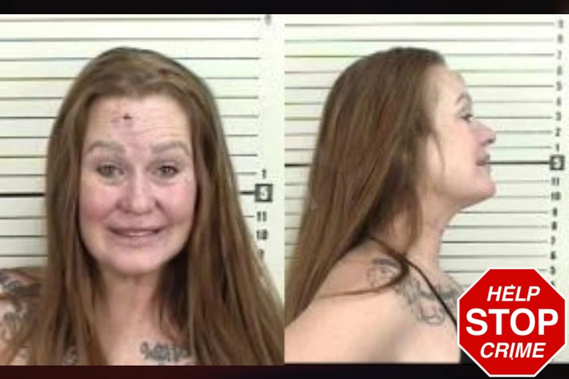 Amanda Such Mugshots
