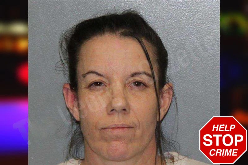 Amanda Sullens mugshot β White County , Georgia Amanda Sullens mugshot