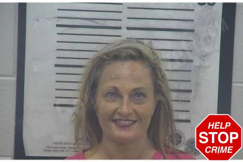 Amanda Turner Mugshots