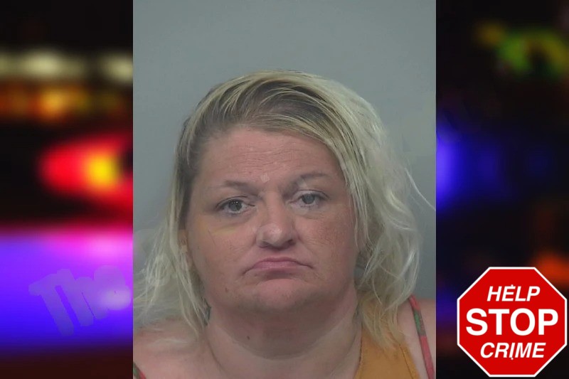 Amanda Warren Mugshots