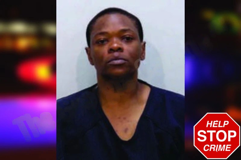 Amanda Wiley Mugshots