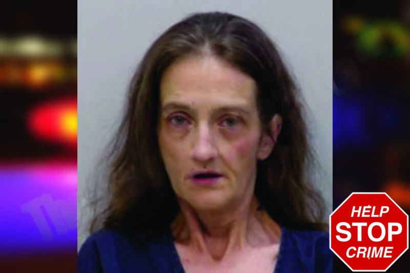 Amanda Windsor Mugshots